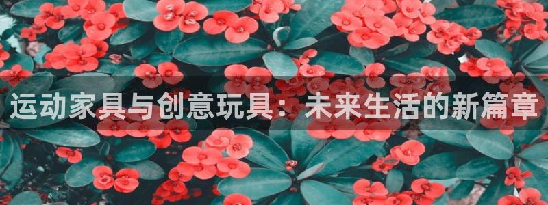 意昂4新能源：运动家具与创意玩具：未来生活的新篇章