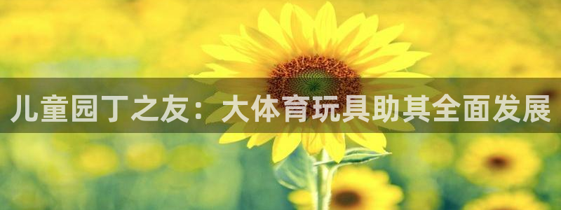 注册意昂4：儿童园丁之友：大体育玩具助其全面发展