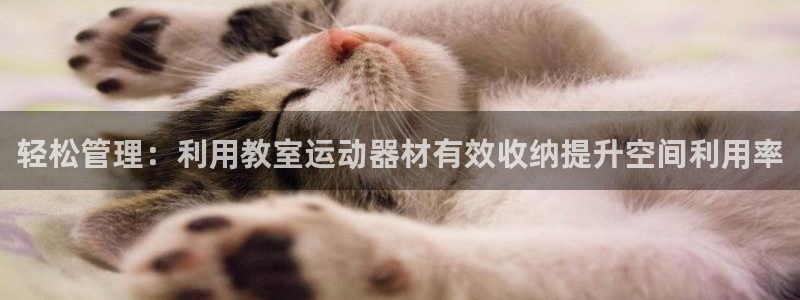 意昂4集团E.ON：轻松管理：利用教室运动器材有效收