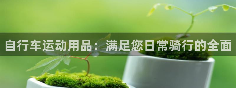 意昂4神州：自行车运动用品：满足您日常骑行的全面