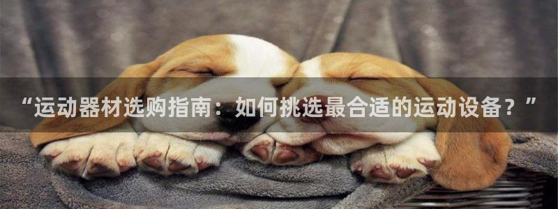 意昂4代理：“运动器材选购指南：如何挑选最合适的运动