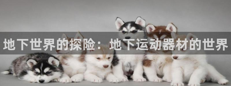 意昂集团官网：地下世界的探险：地下运动器材的世界