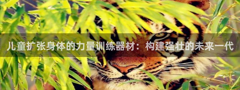 海南意昂体育4发展怎么样：儿童扩张身体的力量训练器材：构建强