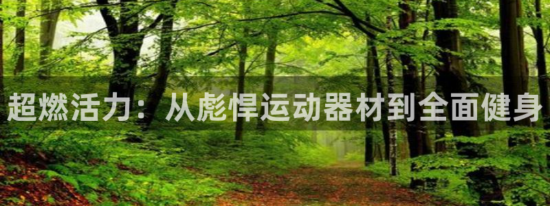 意昂体育4平台假的吗是真的吗：超燃活力：从彪悍运动器材到全面
