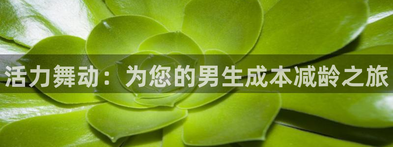 意昂体育4娱乐：活力舞动：为您的男生成本减龄之旅