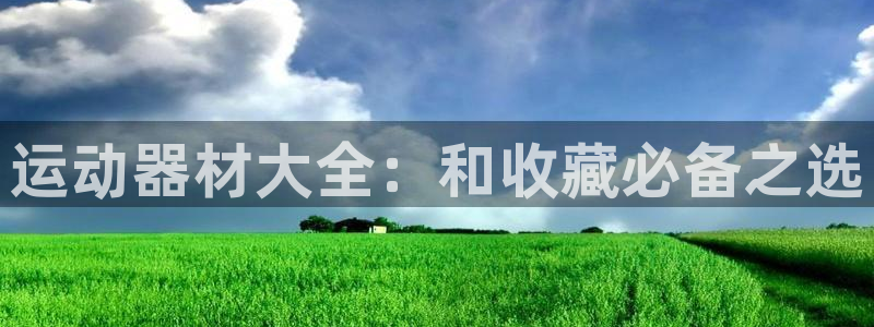 海南意昂体育4：运动器材大全：和收藏必备之选