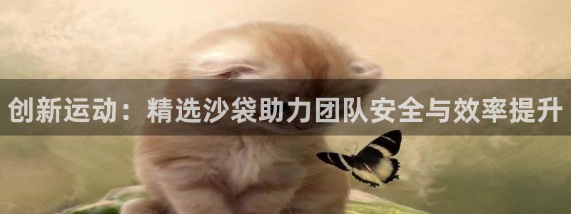 意昂体育4平台注册：创新运动：精选沙袋助力团队安全与
