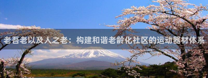 意昂体育4是干嘛的公司：老吾老以及人之老：构建和谐老