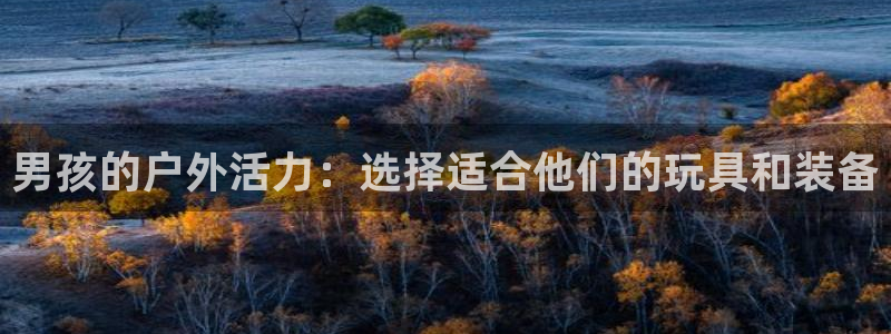 意昂体育4招商电话号码：男孩的户外活力：选择适合他们