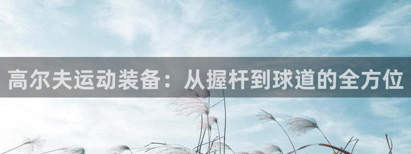 意昂体育4平台假的吗是真的吗：高尔夫运动装备：从握杆到球道的