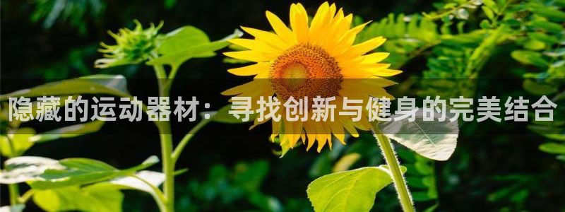 意昂4官方：隐藏的运动器材：寻找创新与健身的完美结合