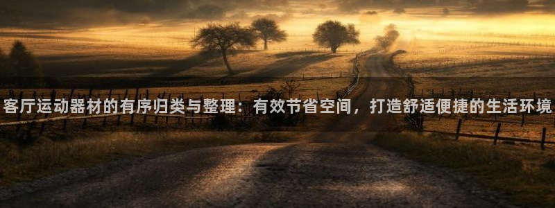 意昂4科技：客厅运动器材的有序归类与整理：有效节省空