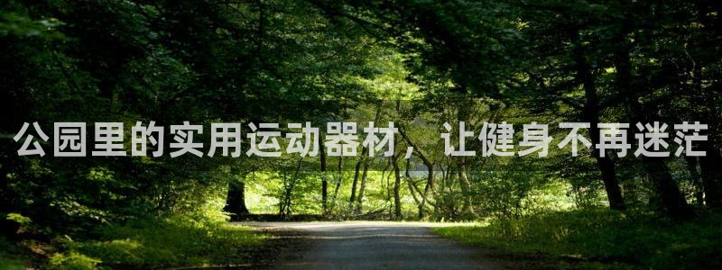 意昂4新能源：公园里的实用运动器材，让健身不再迷茫