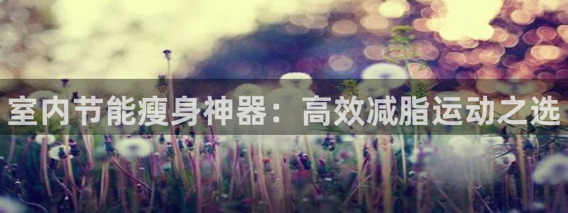意昂4集团简介：室内节能瘦身神器：高效减脂运动之选