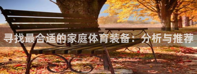 意昂4科技：寻找最合适的家庭体育装备：分析与推荐
