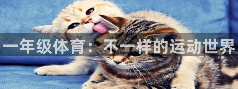 意昂体育4招商电话号码查询是多少：一年级体育：不一样的运动世