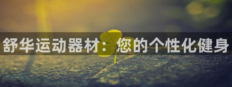 意昂体育4平台注册：舒华运动器材：您的个性化健身